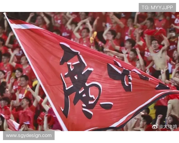 纽卡斯尔联队核心伤愈复出带领球队重燃欧战资格希望